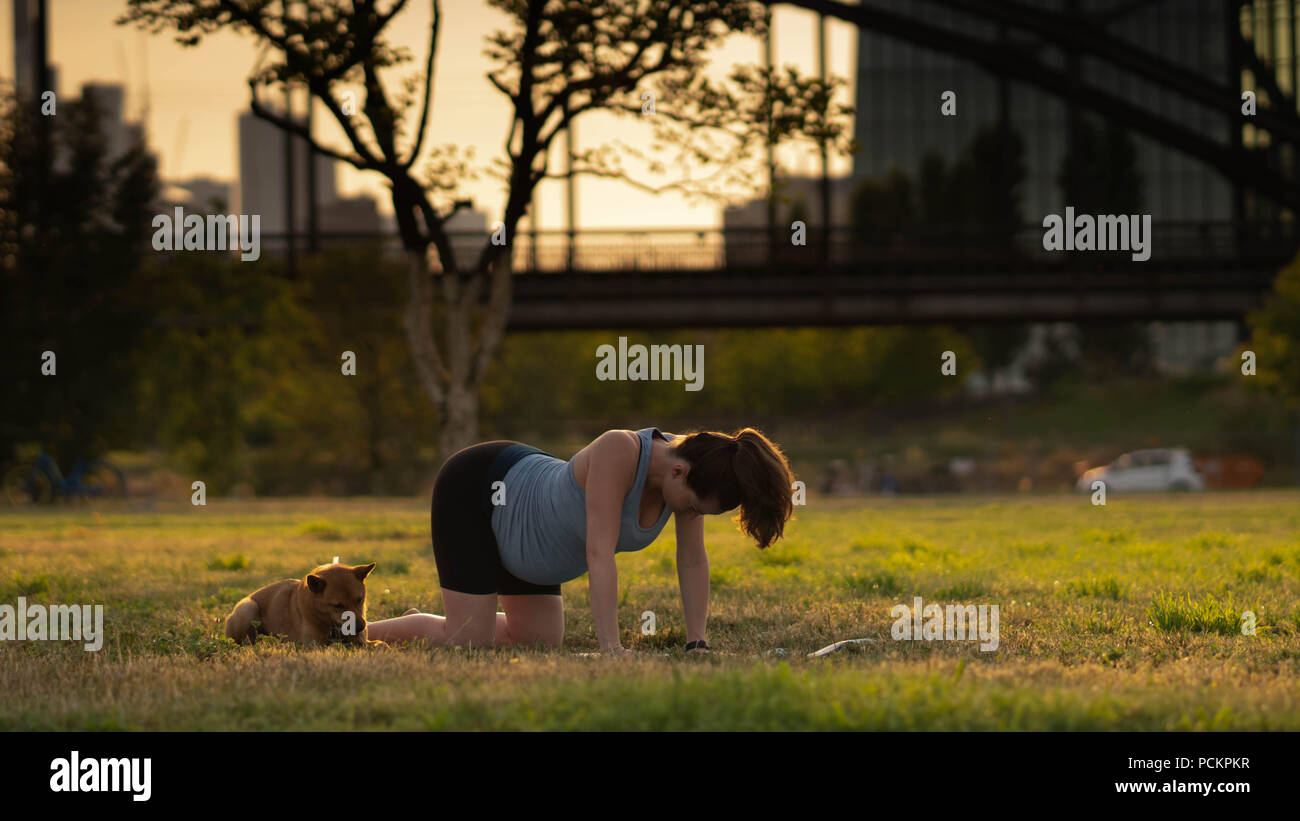 Bella sportiva montare yogini donna incinta le pratiche yoga asana bitilasana - posa di vacca gentle warm up per colonna vertebrale (chiamato anche cat-mucca posa) in un parco con un cane Foto Stock