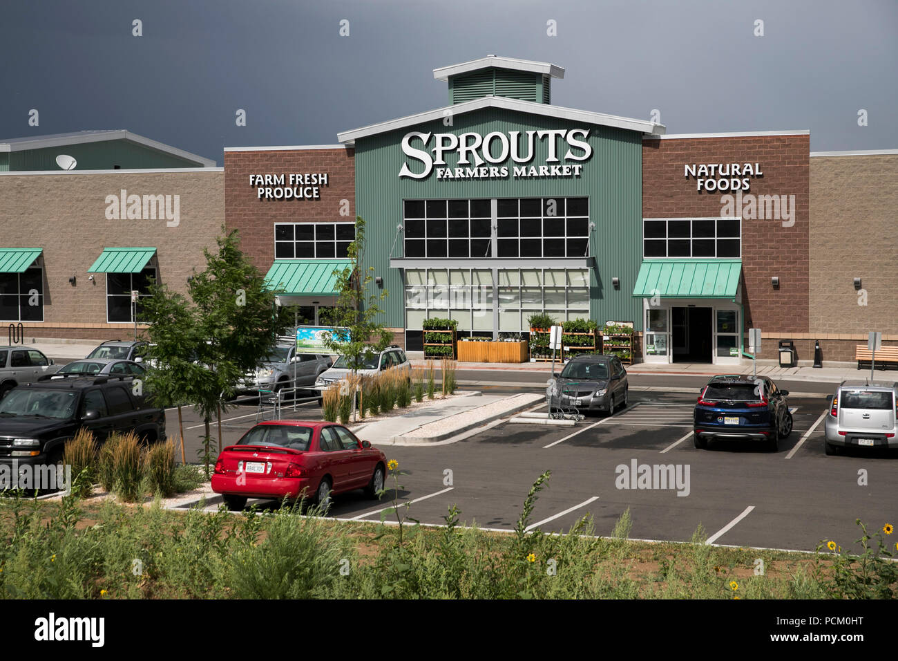 Un logo segno esterno di germogli Farmers Market retail drogheria in Arvada, Colorado, il 22 luglio 2018. Foto Stock