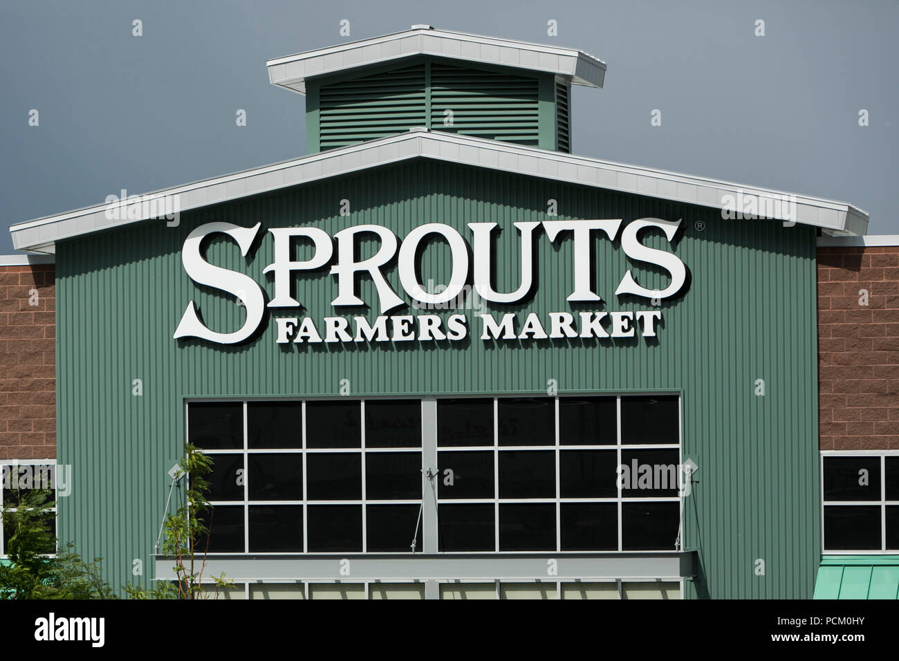 Un logo segno esterno di germogli Farmers Market retail drogheria in Arvada, Colorado, il 22 luglio 2018. Foto Stock