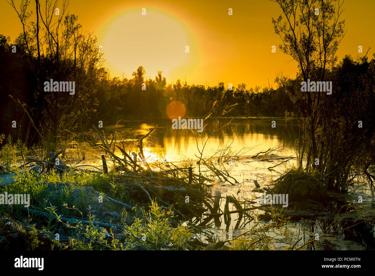 Di sera e il sole lentamente proviene oltre l'orizzonte riflessa nello stagno Foto Stock