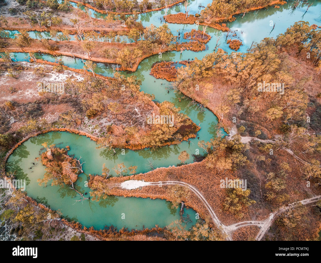 Vista aerea di sorprendenti serpeggiante fiume tra gli alberi di gomma in Australia Foto Stock