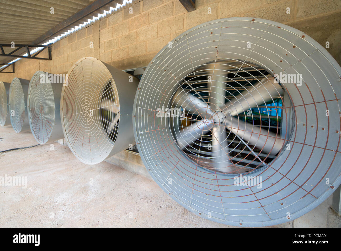 Grande industriale ventilatori dello scambiatore di calore o ventilatori  dello scambiatore grande motore in fabbrica per ridurre il calore durante  il funzionamento Foto stock - Alamy