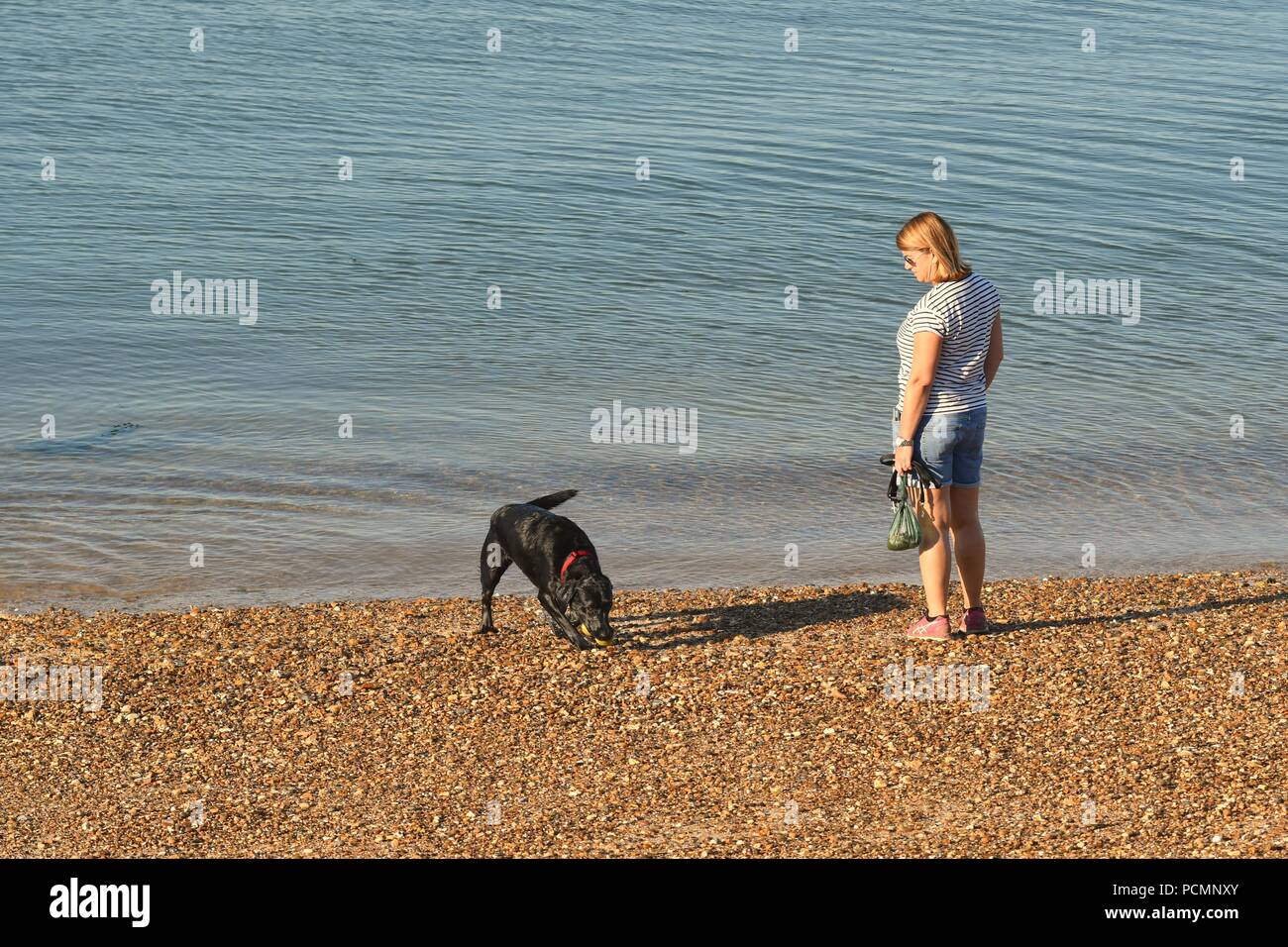 Thorpe Bay, Southend-on-Sea, Essex, Regno Unito. Il 3 agosto, 2018. Meteo REGNO UNITO: mattina vedute sulla spiaggia di Thorpe Bay - una vista di una donna e il suo cane Credit: Ben rettore/Alamy Live News Foto Stock