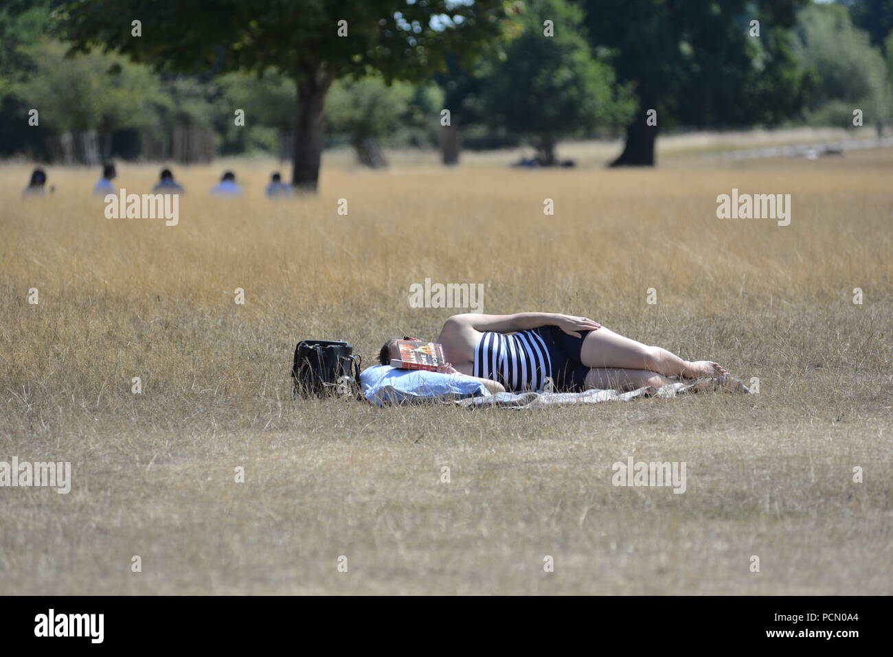 Donna sdraiata e leggere un libro su erba pascolata in tempo caldo a Richmond Park, Londra, Regno Unito, 3rd agosto 2018, tempo: Pomeriggio molto caldo con temperature intorno a 33 gradi Celsius. L'onda di calore è portata da sud da un pennacchio spagnolo. Foto Stock Donna sdraiata e leggere un libro su erba pascolata in tempo caldo a Richmond Park, Londra, Regno Unito, 3rd agosto 2018, tempo: Pomeriggio molto caldo con temperature intorno a 33 gradi Celsius. L'onda di calore è portata da sud da un pennacchio spagnolo. Foto Stock