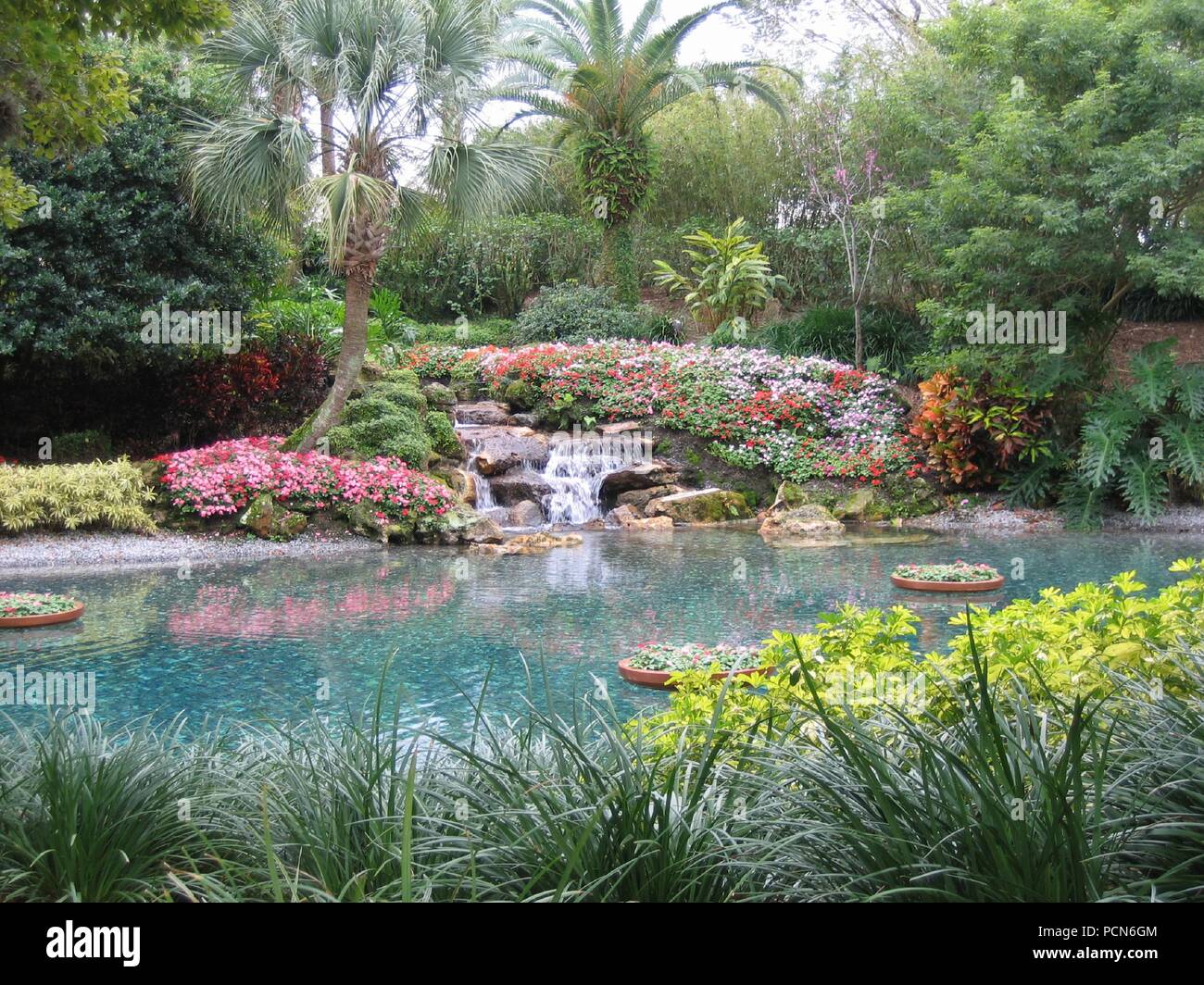 Una scena tropicale con splendidi fiori, palme e una cascata in una giornata di sole in Seaworld di Orlando, Florida, Stati Uniti d'America. Foto Stock