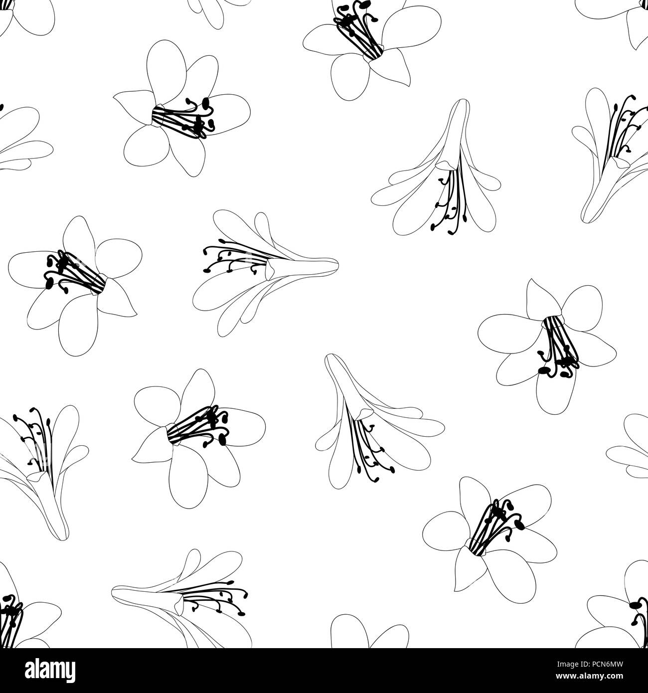 Agapanthus Flower Seamless su sfondo bianco. Illustrazione Vettoriale. Illustrazione Vettoriale