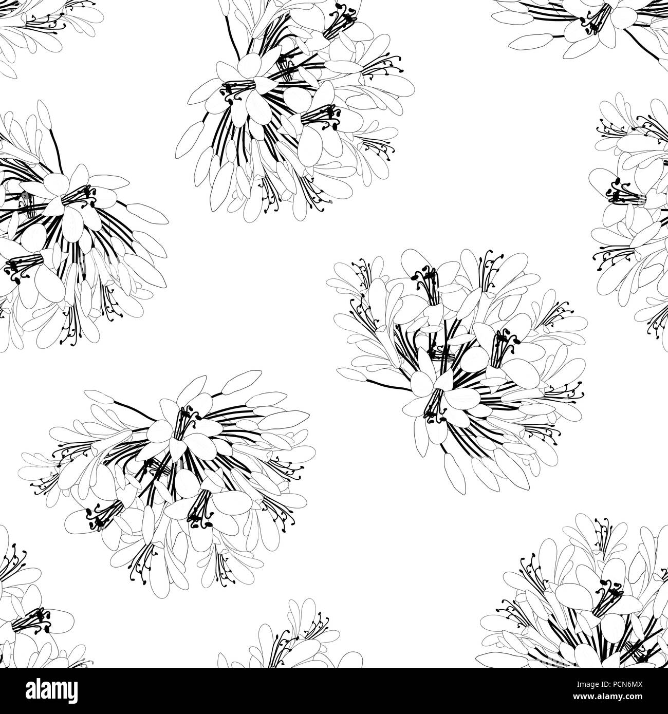 Agapanthus Flower Seamless su sfondo bianco. Illustrazione Vettoriale. Illustrazione Vettoriale