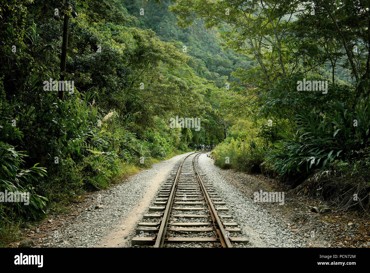 I binari ferroviari e lussureggiante vegetazione, che conduce fino a Aguas Calientes (la città più vicina da Machu Picchu Giu 2018 Foto Stock
