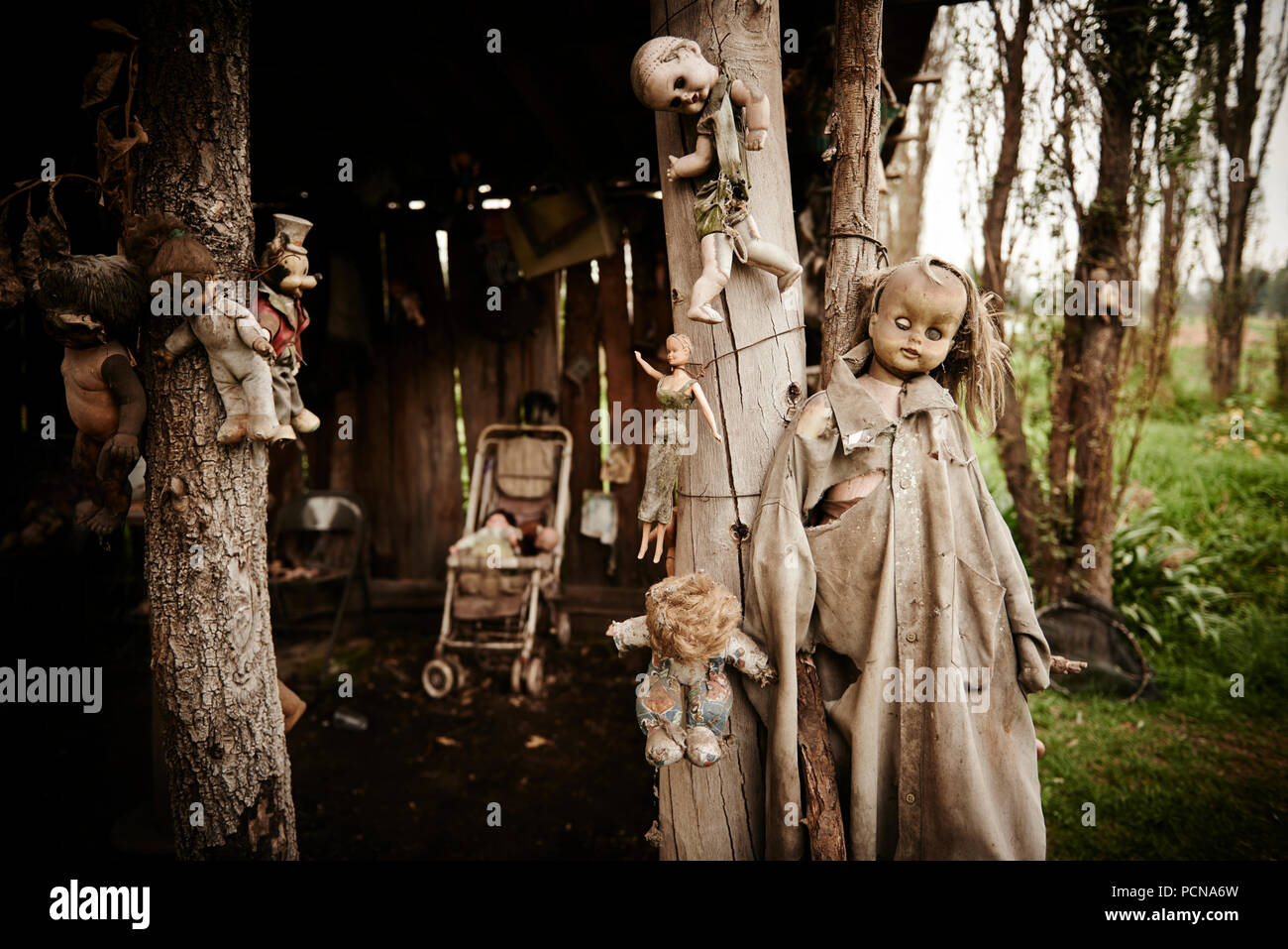 Le bambole di La Isla de las Muñecas - l'isola delle bambole, Xochimilco Messico Foto Stock