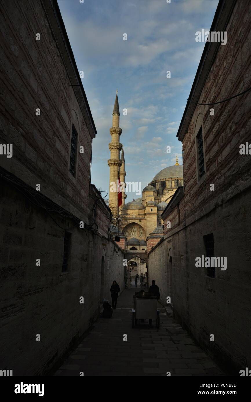 La cupola e i minareti della Moschea Suleymaniye Foto Stock