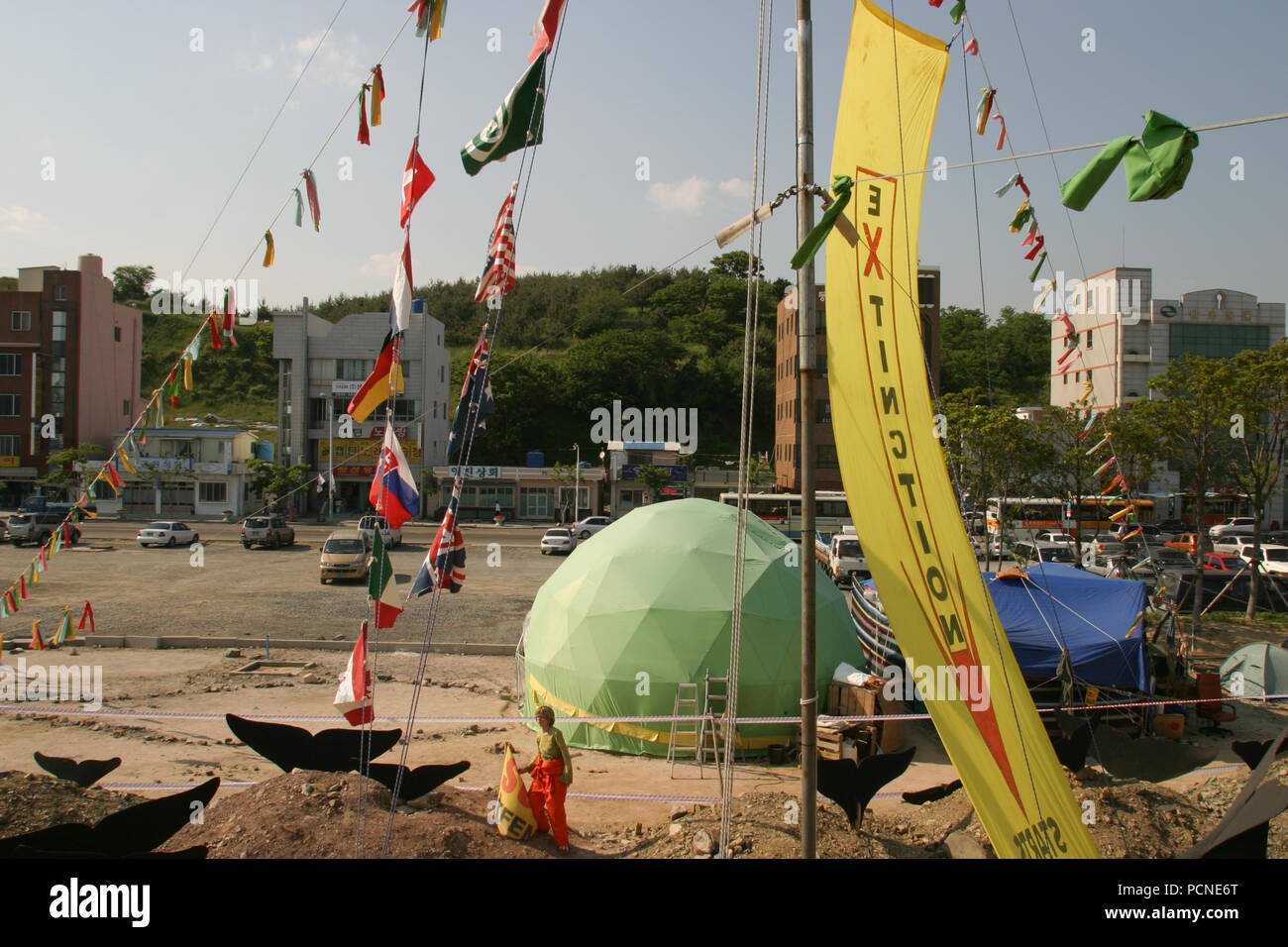 Greenpeace "Whale ambasciata" occupa il sito di una balena proposto un centro di ricerca e di impianto per la trasformazione di carni e gli attivisti si rifiutano di lasciare fino a quando i piani per l'impianto sono annullati. Gli attivisti sono stati ordinati per liberare la terra dal 15 maggio 2005, ma ha rifiutato di farlo. 20.05.2005 Foto Stock