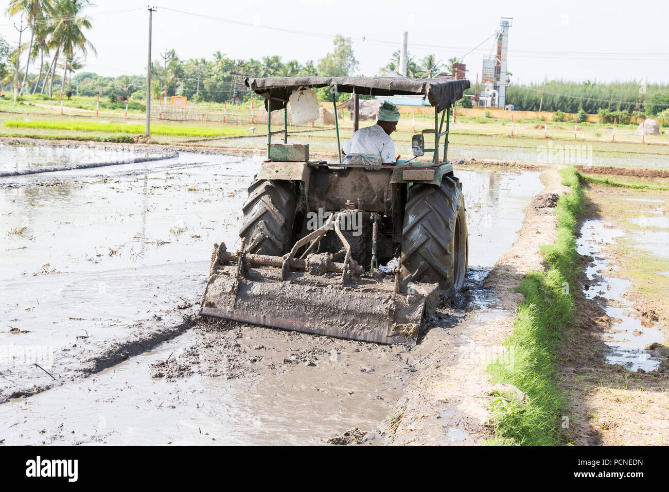 Pondicherry, PUDUCHERRY, Tamil Nadu, India - SETTEMBRE CIRCA, 2017. Gli agricoltori aratura in campo agricolo in modo tradizionale in cui un aratro è attaccato a t Foto Stock