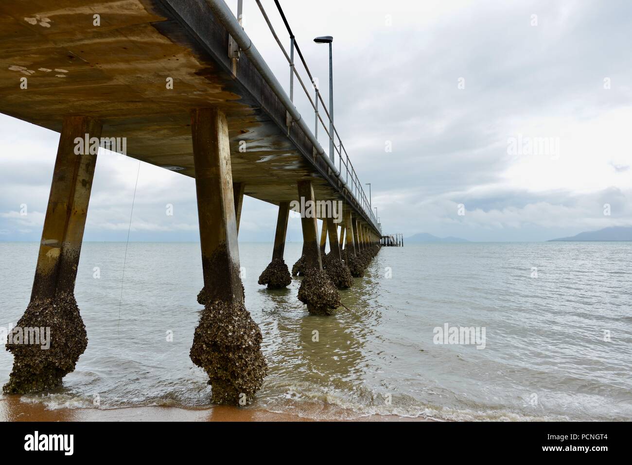 Il Cardwell Jetty, Cardwell, Queensland, Australia Foto Stock