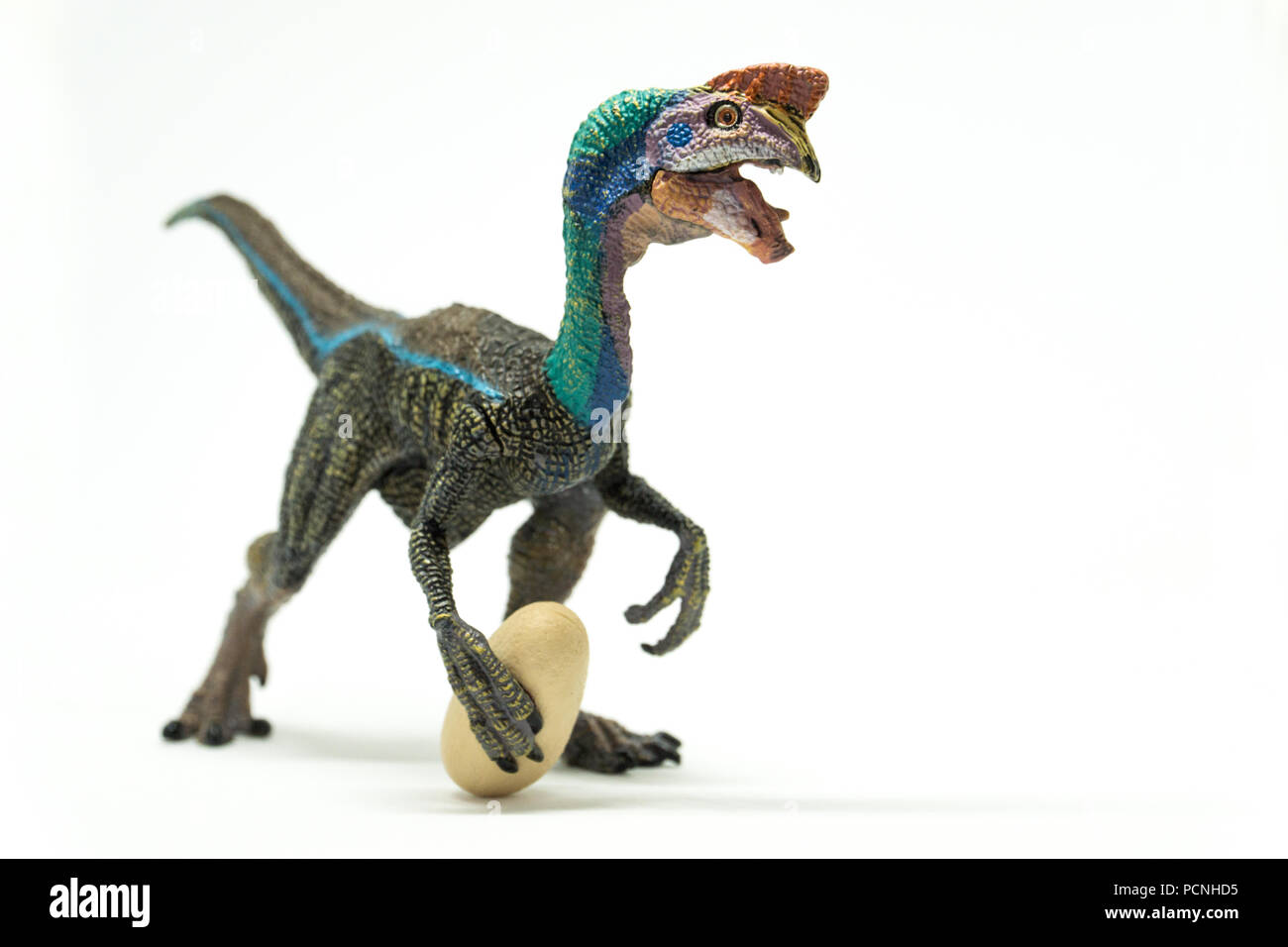 Oviraptor su sfondo bianco Foto Stock