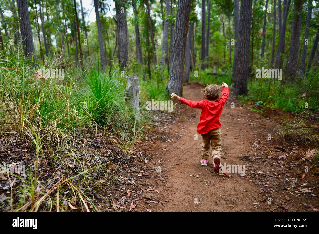 Un giovane bambino corre attraverso una foresta, Cardwell, Queensland, Australia Foto Stock