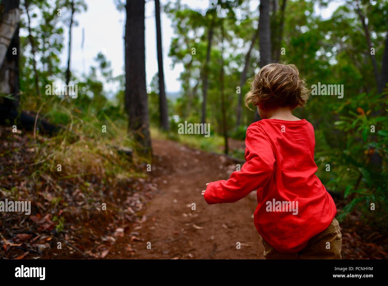 Un giovane bambino corre attraverso una foresta, Cardwell, Queensland, Australia Foto Stock