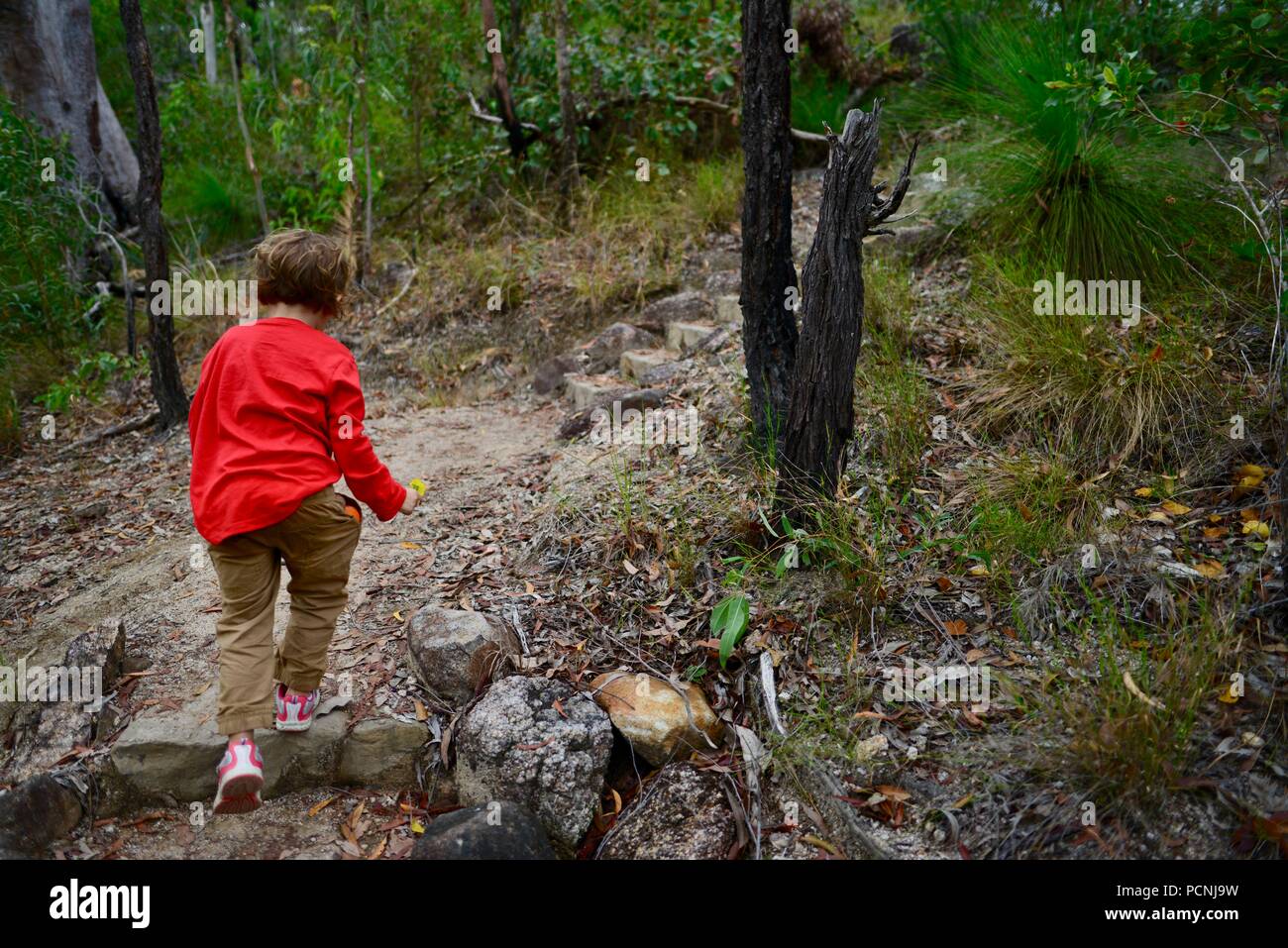 I bambini a piedi attraverso una foresta, Cardwell, Queensland, Australia Foto Stock