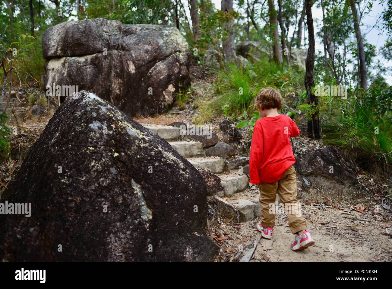 Un bambino solitario a piedi attraverso una foresta, Cardwell, Queensland, Australia Foto Stock