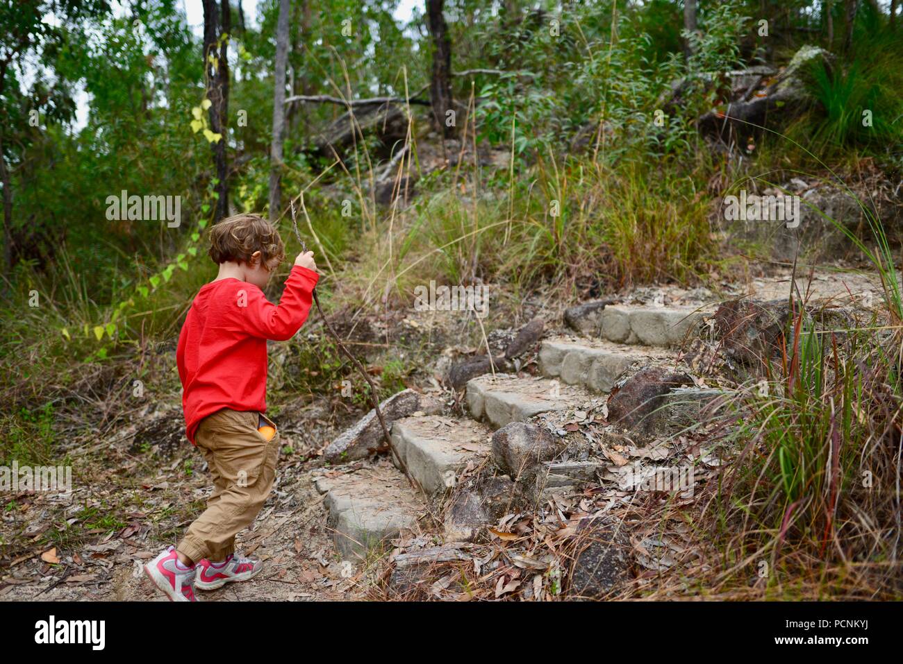 Un bambino solitario a piedi attraverso una foresta, Cardwell, Queensland, Australia Foto Stock