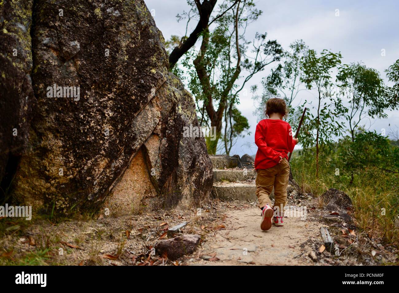 Un bambino solitario a piedi attraverso una foresta, Cardwell, Queensland, Australia Foto Stock