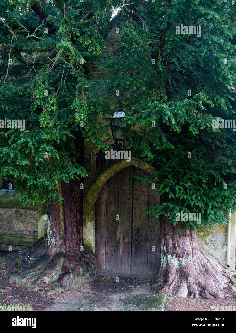 Stow-su-il-Wold porta della chiesa con le pecore Foto Stock