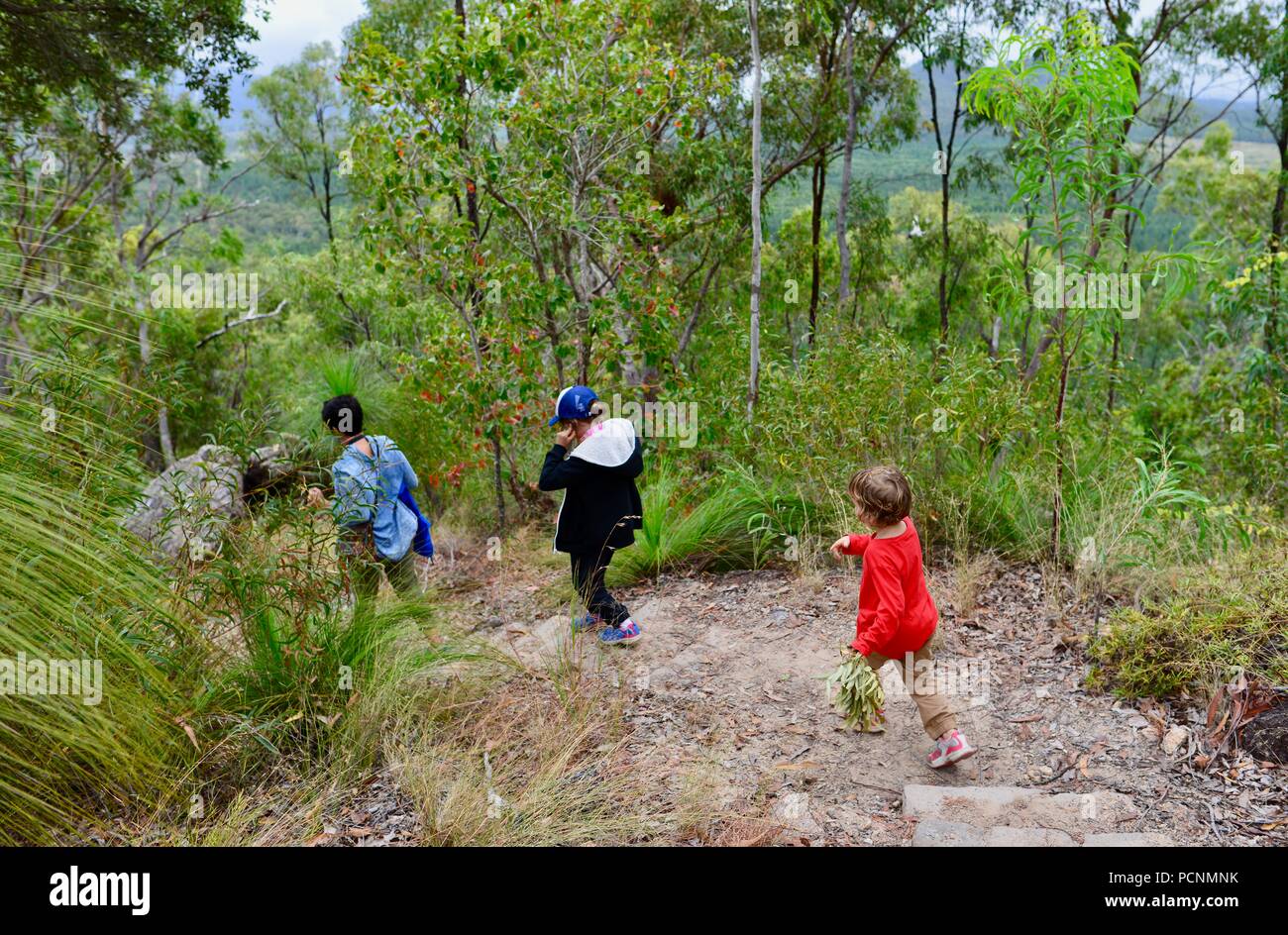 La madre cammina con i bambini attraverso una foresta, Cardwell, Queensland, Australia Foto Stock