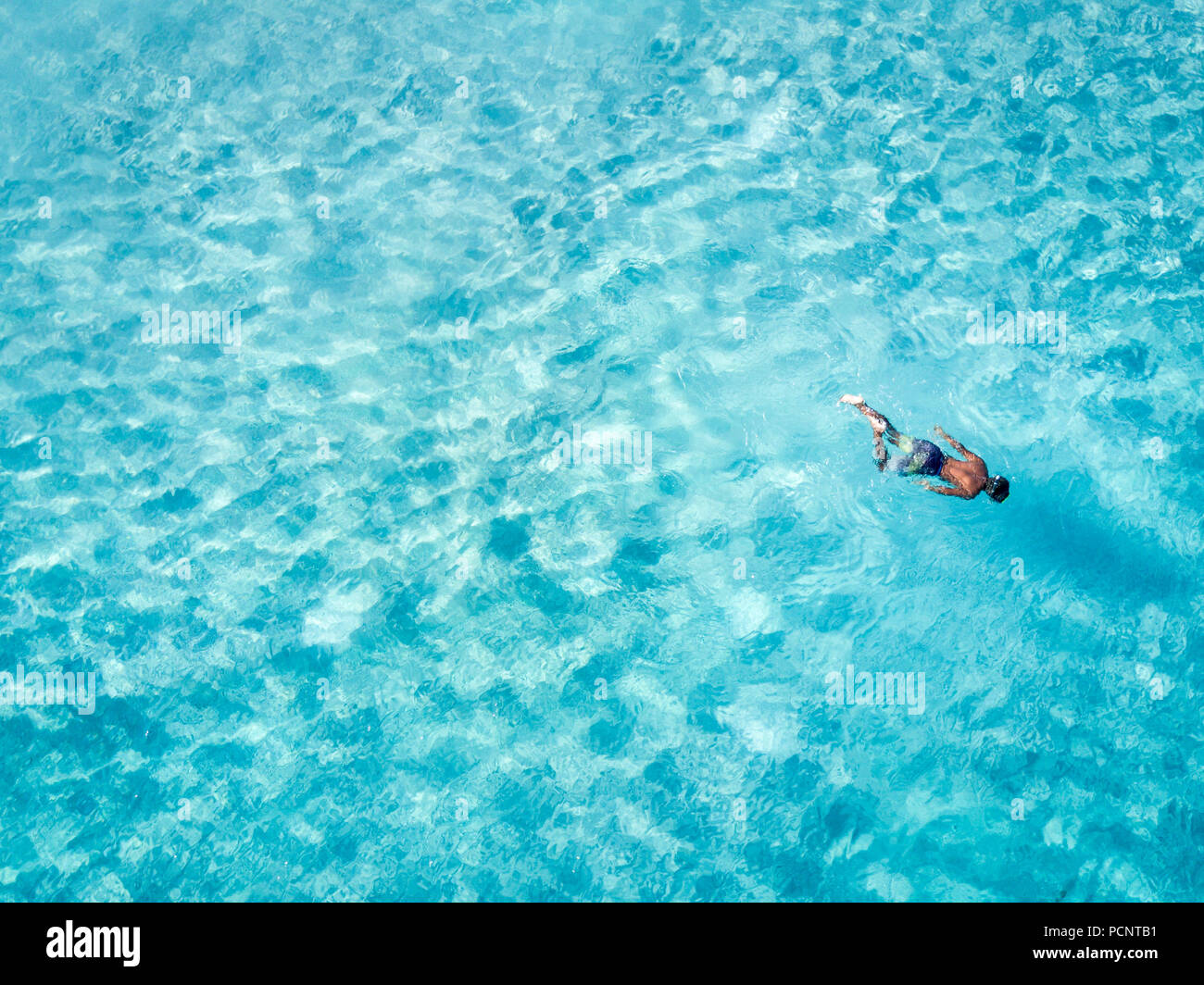 Fare snorkeling Pulau Padar, Indonesia Foto Stock