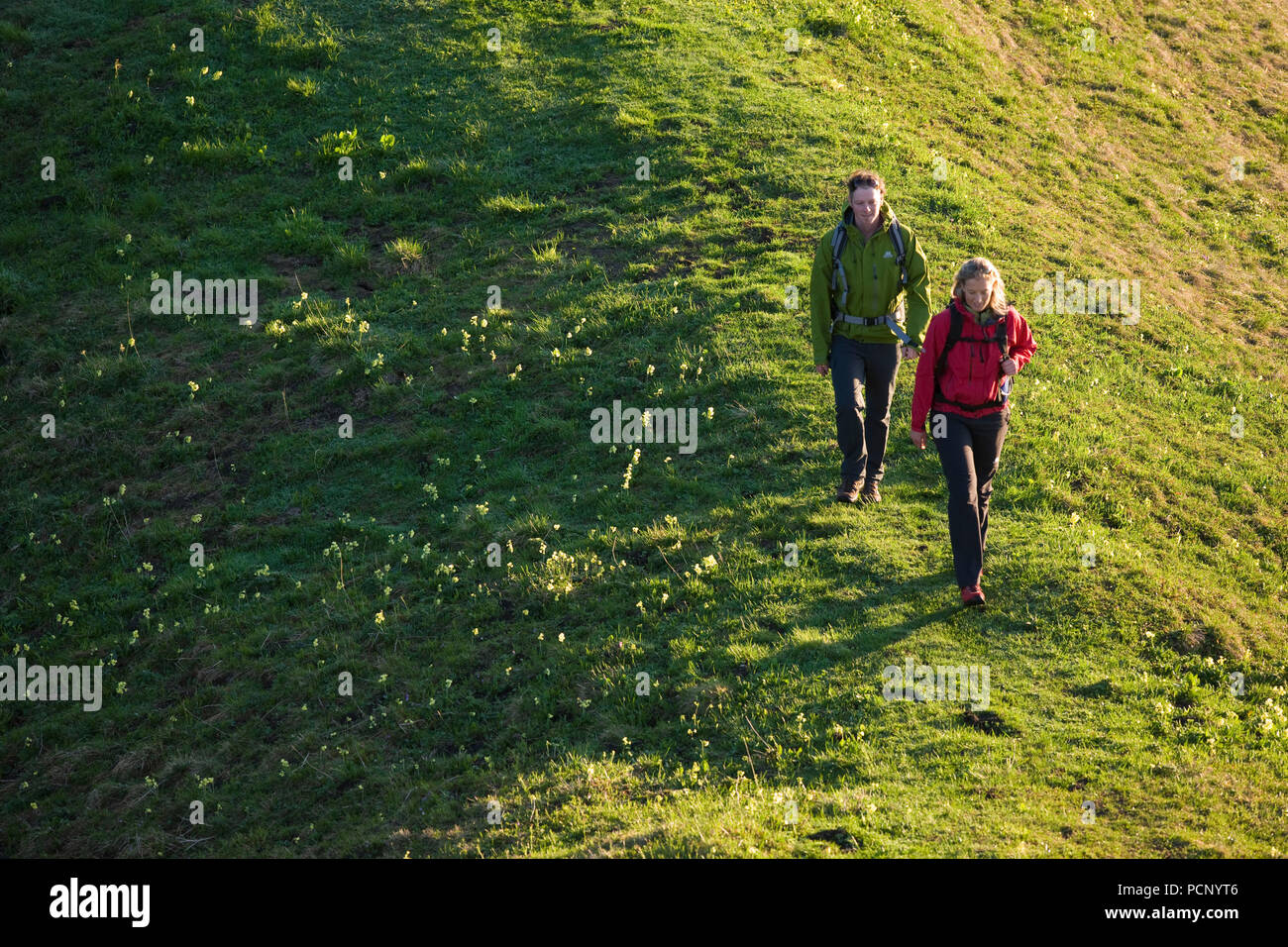 Escursionismo scena al Pürschling, Alpi Ammergau, Alta Baviera, Baviera, Germania Foto Stock