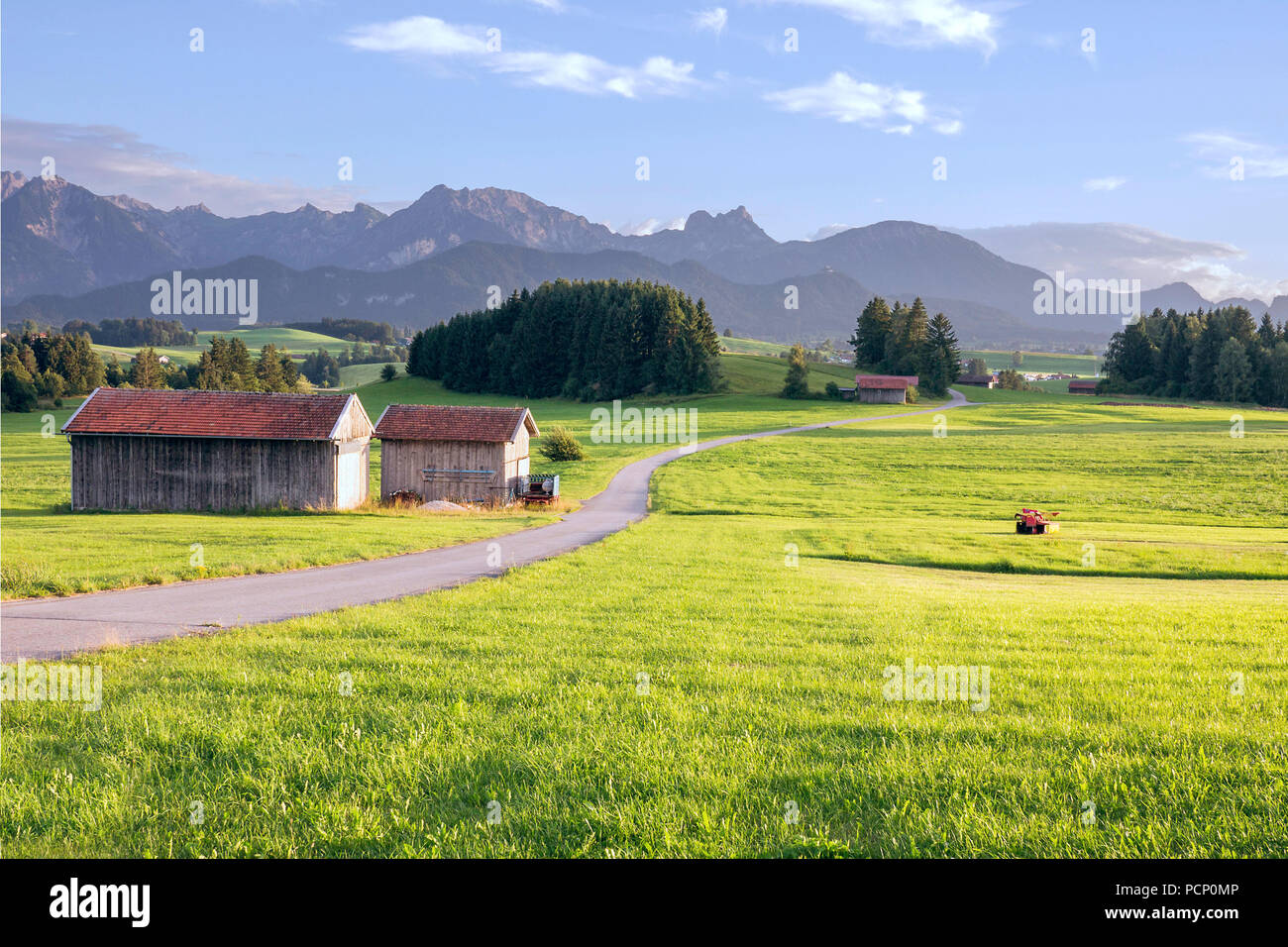 Cottages in Algovia nella luce della sera del sole estivo con sullo sfondo le Alpi Foto Stock