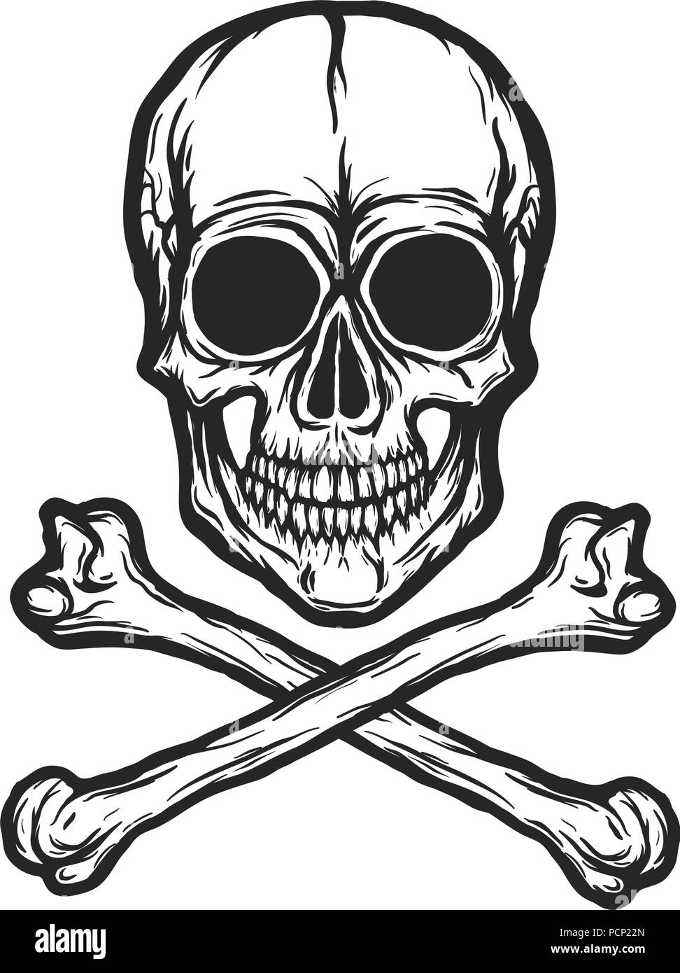 Cranio umano vettore Illustrazione Vettoriale