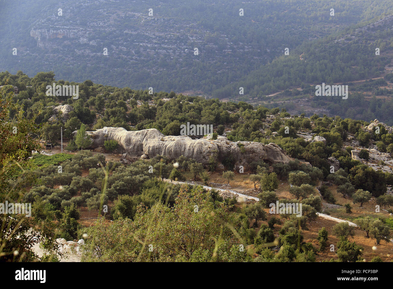 Un punto di riferimento rock nel Nord del Libano detto a rappresentano un enorme coccodrillo. Foto Stock