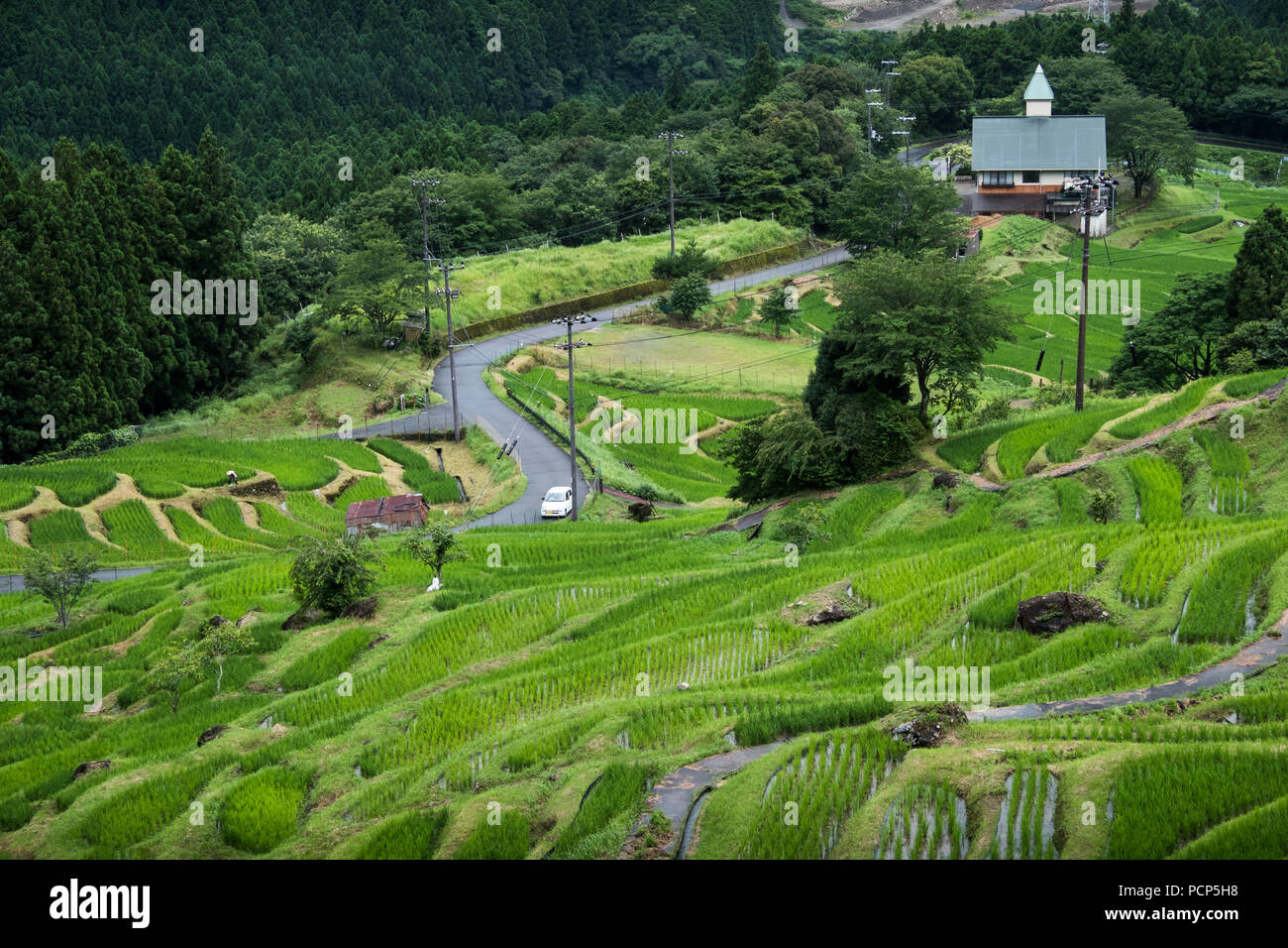 Maruyama Senmaida terrazze di riso in Giappone centrale Foto Stock