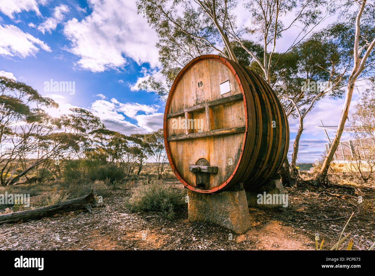 In legno, grande botte di vino in Sud Australia regione del vino Foto Stock