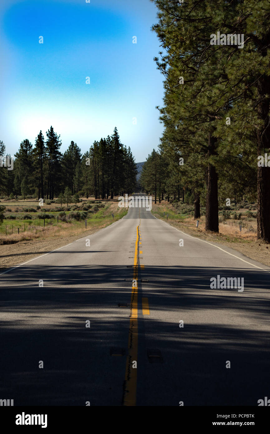 Strada di montagna dove Foto Stock