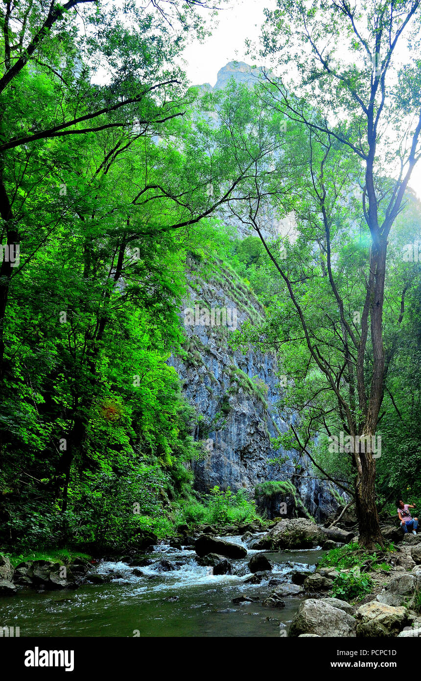Piccolo fiume di montagna in Cheile Turzii, Transilvania, Romania Foto Stock