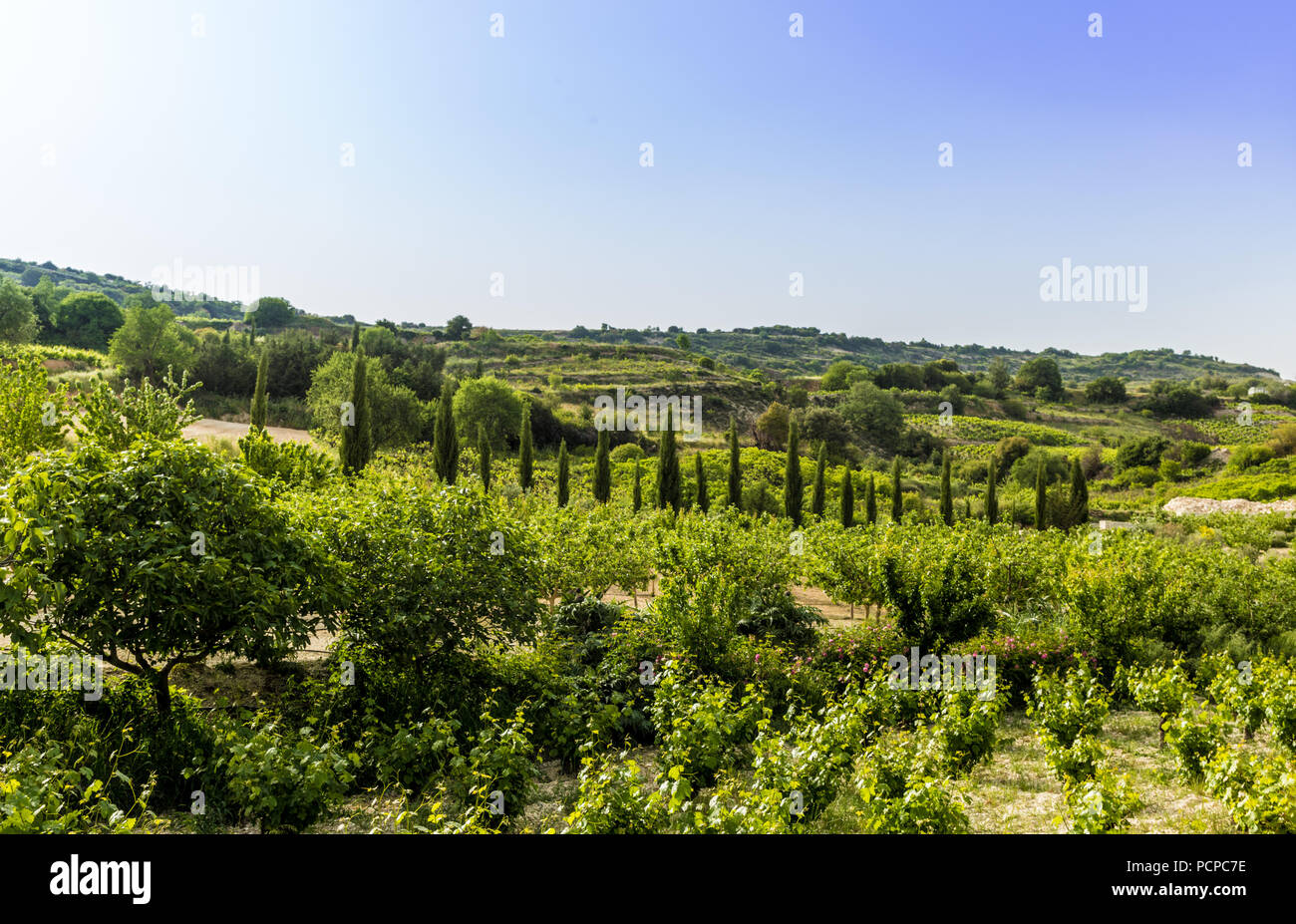 Lania, Cipro. Maggio 2018. Una vista tipica della campagna al di fuori del villaggio tradizionale di Omodos a Cipro. Foto Stock