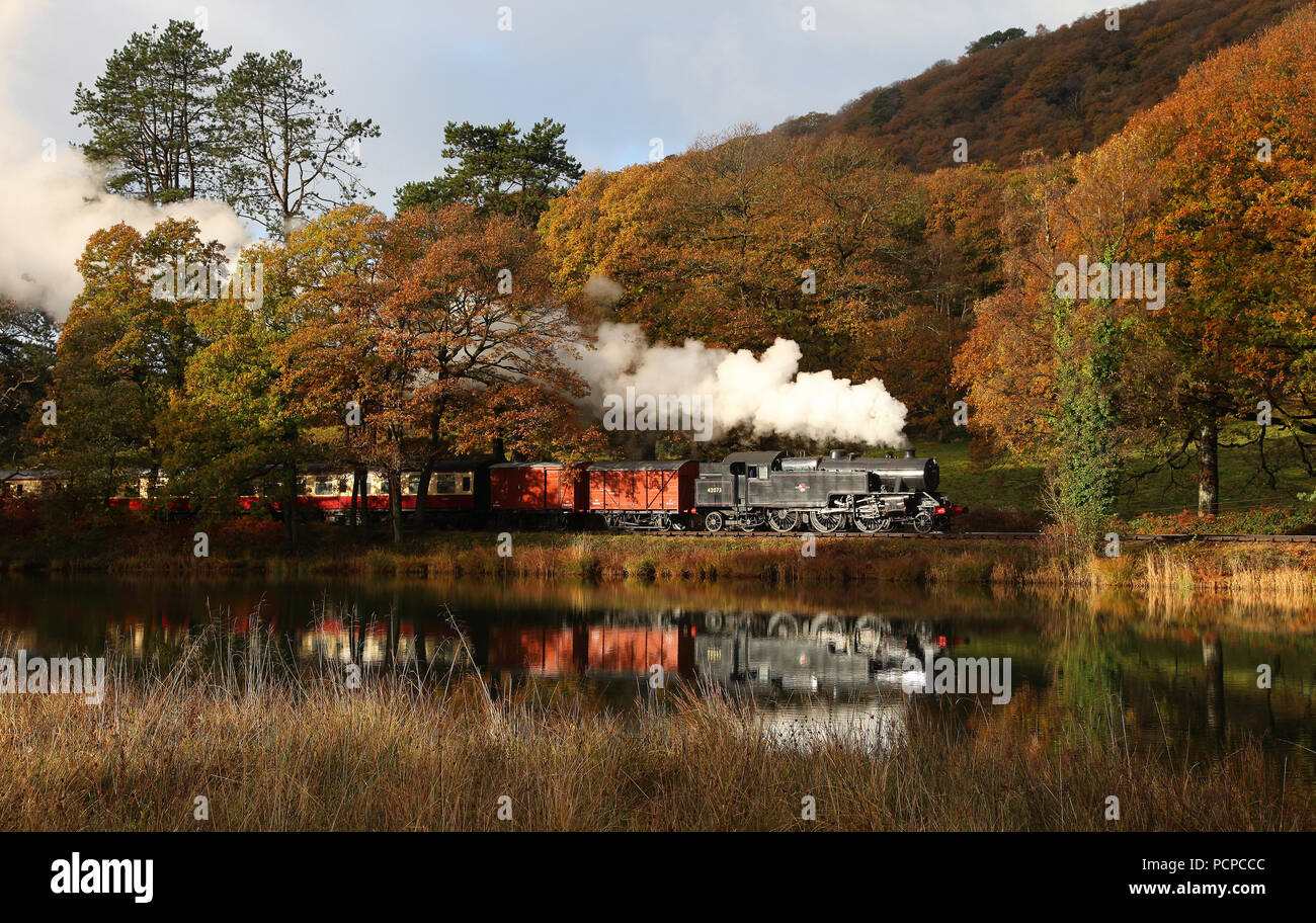 42073 capi lungo il fiume Leven nr Newby Bridge su 10.11.16. Foto Stock