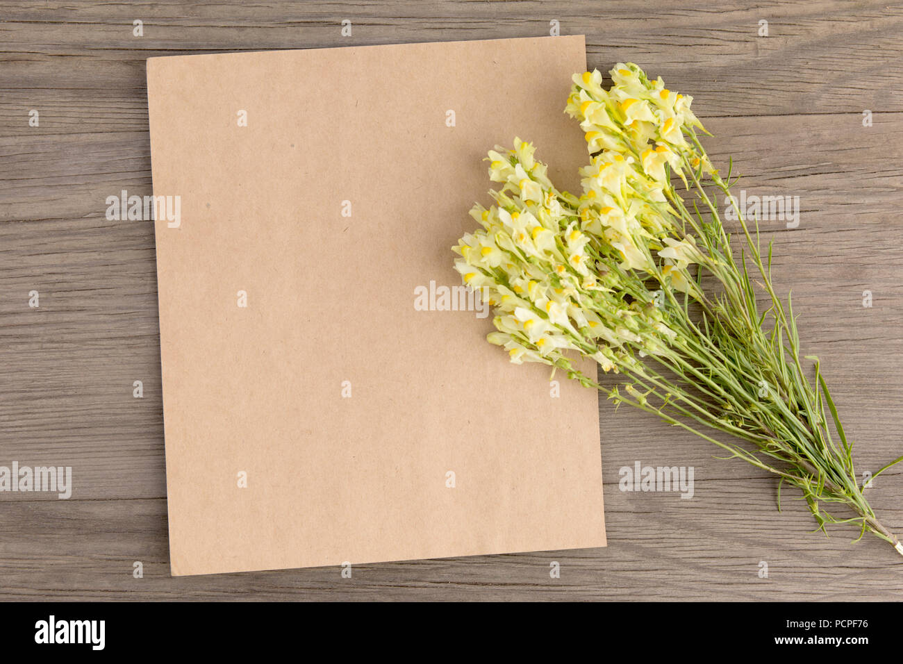 Antirrhinum fiori gialli con artigianato Carta vuota sul vecchio grunge sfondo di legno. Vista dall'alto. In stile minimalista mockup. Foto Stock