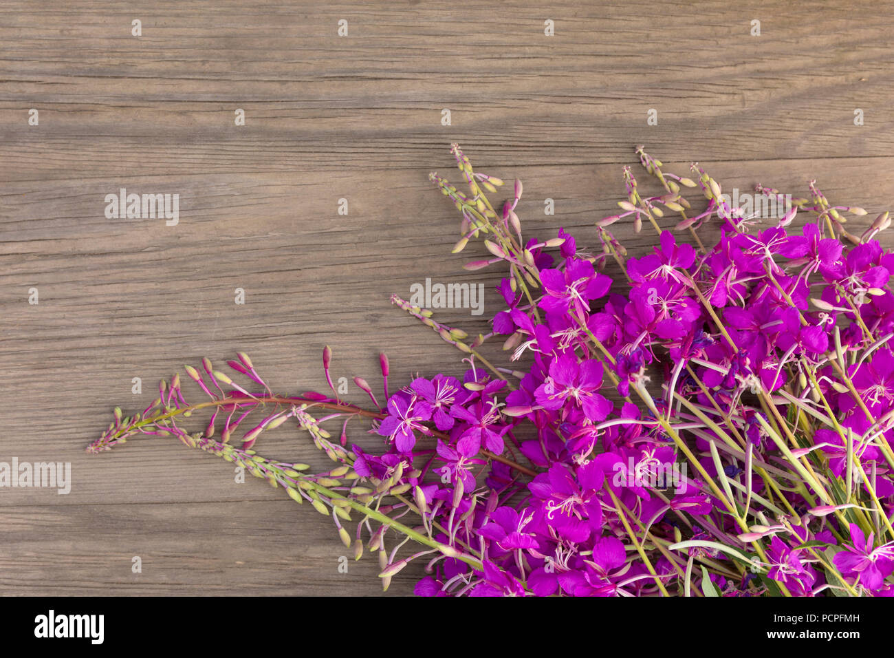 Willow-herb fiori viola sul vecchio grunge sfondo di legno. Vista dall'alto. In stile minimalista mockup. Foto Stock
