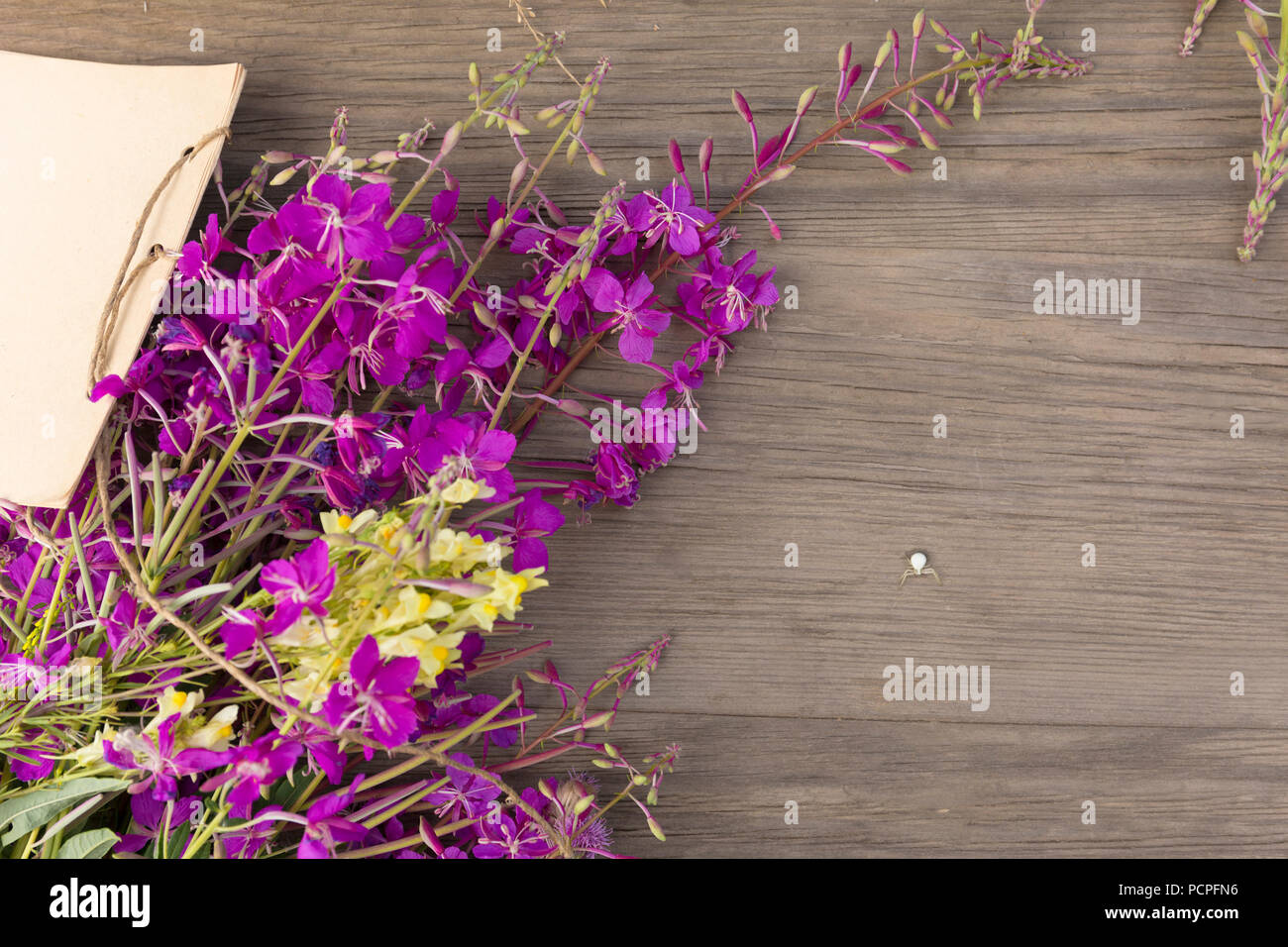 Willow-herb fiori viola sul vecchio grunge sfondo di legno. Vista dall'alto. In stile minimalista mockup. Foto Stock