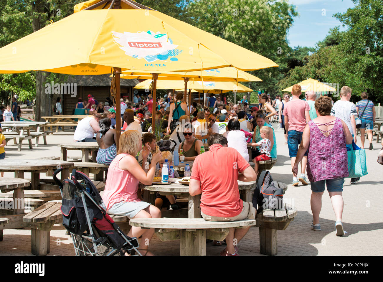 Hilvarenbeel,Olanda,30-luglio-2018:le persone godono di loro gelato bevande e cibo su una terrazza durante la calda estate mai misurata nei Paesi Bassi e nel resto d'Europa Foto Stock