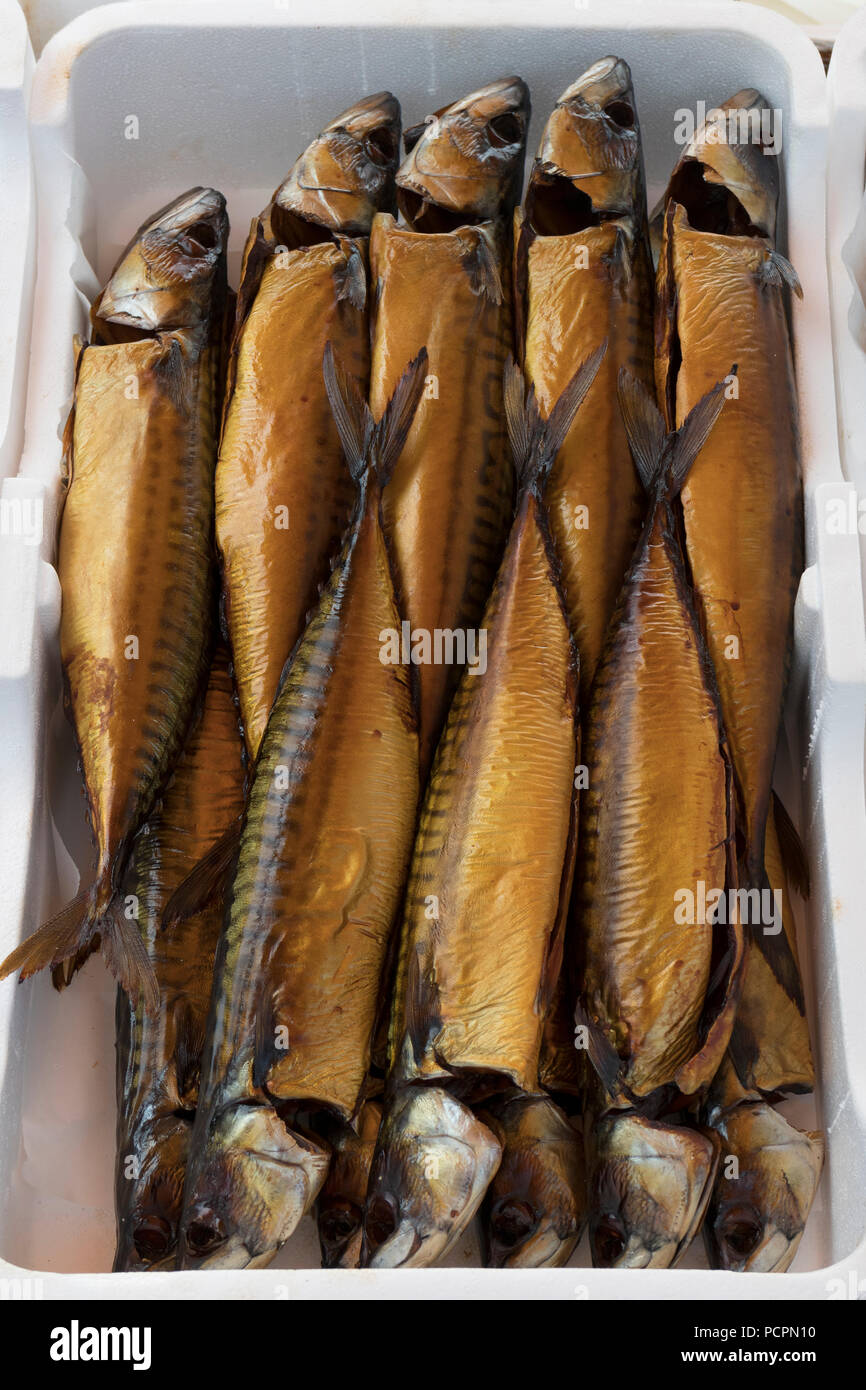 Carni affumicate sgombri in una scatola per la vendita sul mercato Foto Stock