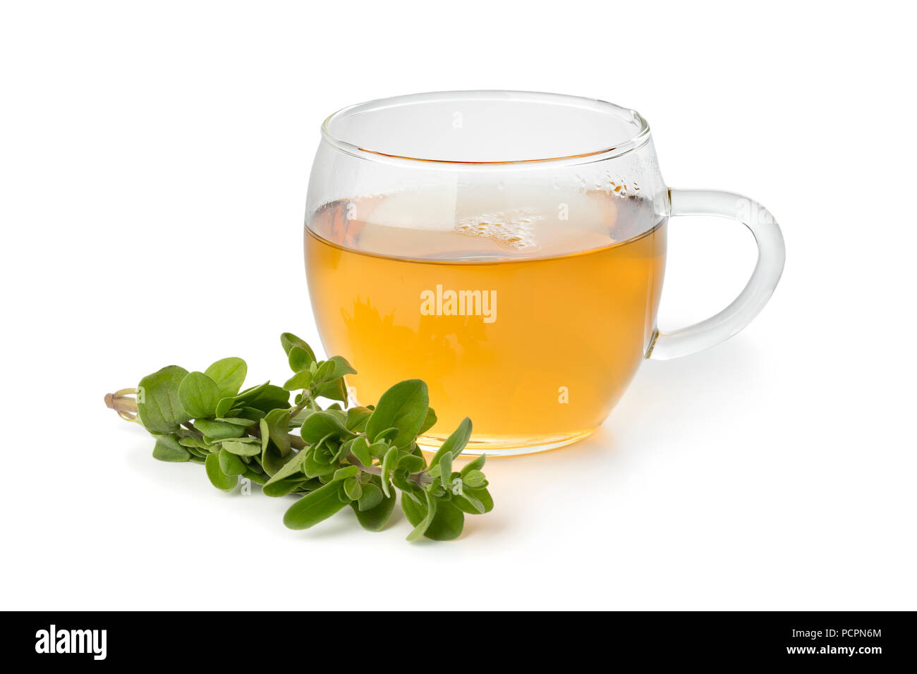 Bicchiere di vetro di tè alle erbe e un rametto di maggiorana fresca isolati su sfondo bianco Foto Stock