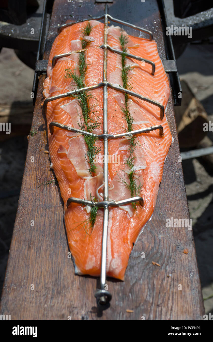 Pezzo di salmone fresco con aneto su una tavola di legno bord pronto per essere affumicato Foto Stock