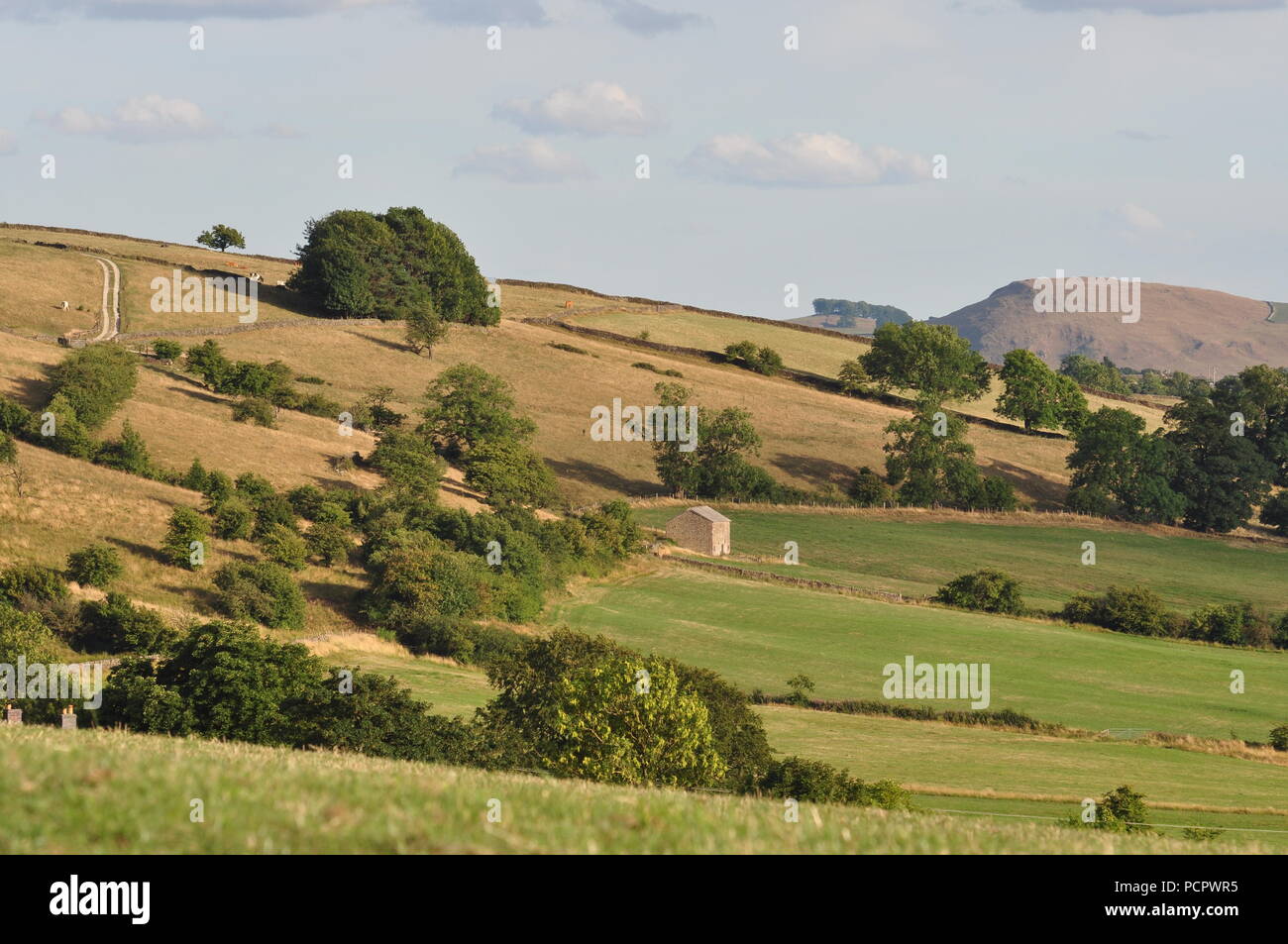 Guardando verso sud-est da Ordnance Survey 092649 griglia appena ad est di Longnor Staffordshire Peak District, England Regno Unito Foto Stock