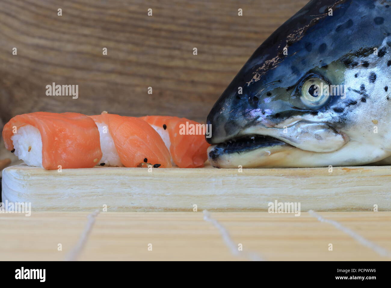 Sushi proviene da un sud-est asiatico piatto, oggi noto come narezushi ("salate pesce'), memorizzati nel riso fermentato per eventualmente mesi alla volta Foto Stock