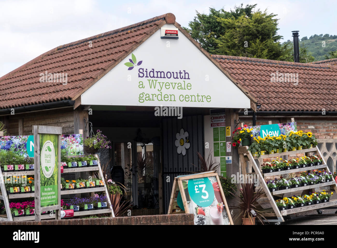 Wyevale centro giardino, Sidmouth. La catena Wyevale, compreso il negozio di Sidmouth, è in vendita. Foto Stock