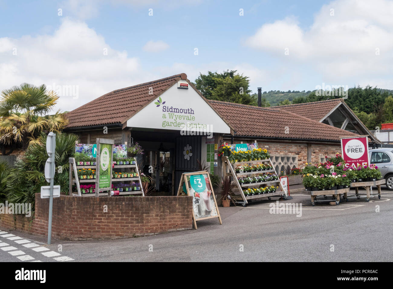 Wyevale centro giardino, Sidmouth. La catena Wyevale, compreso il negozio di Sidmouth, è in vendita. Foto Stock