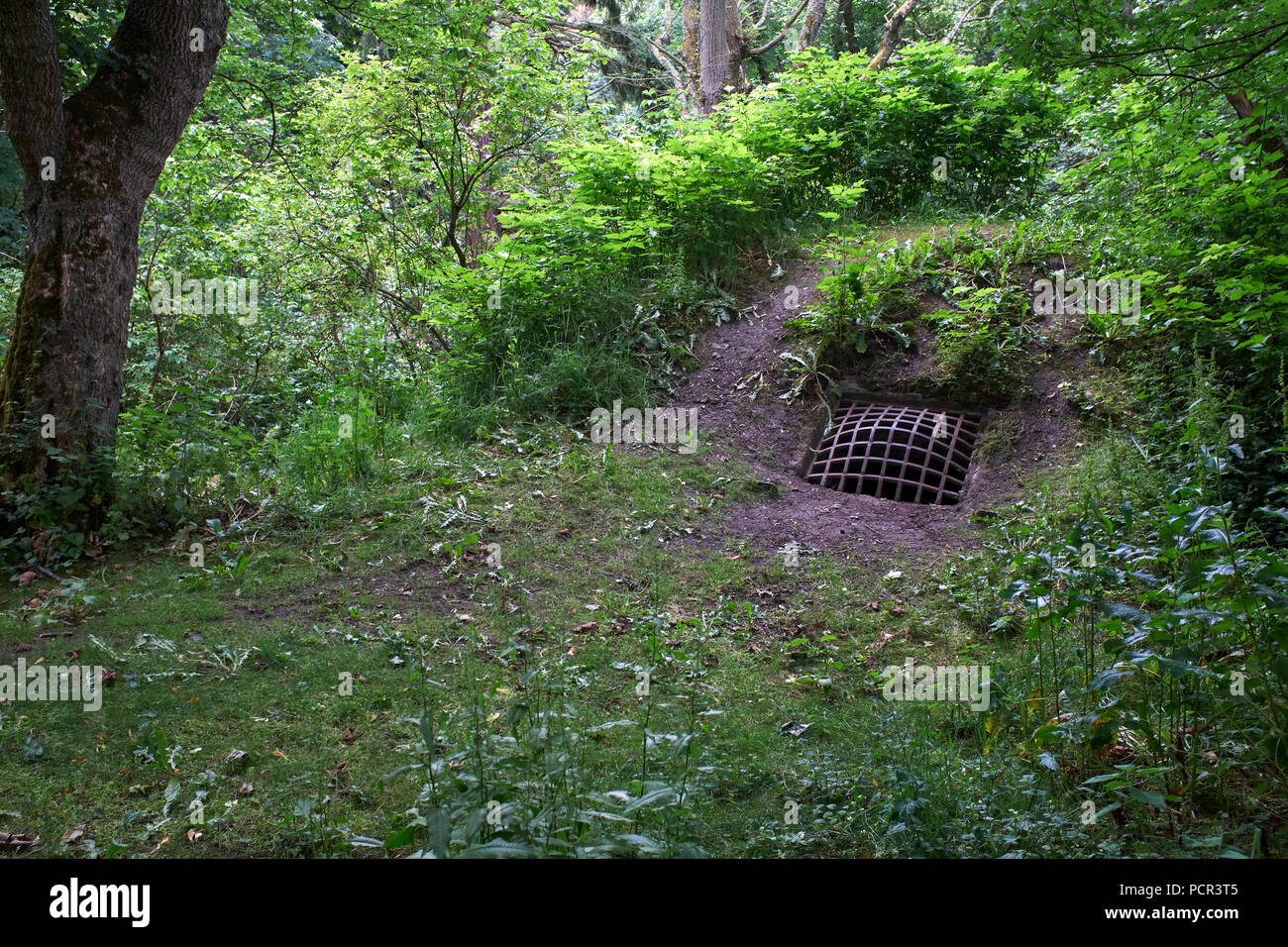 Grill che copre l'entrata alla casa di ghiaccio a Duff House. Macduff. Foto Stock
