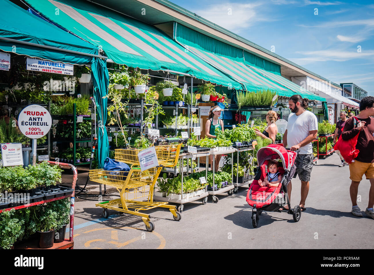 Jean Talon mercato il più grande degli agricoltori di prodotti freschi del mercato canadese di Montreal Foto Stock